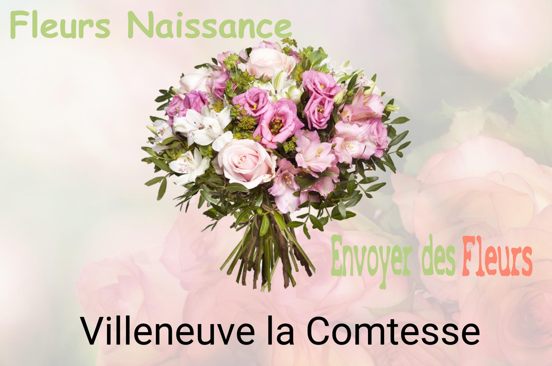 Bouquet de fleurs de naissance livré à Villeneuve-la-Comtesse