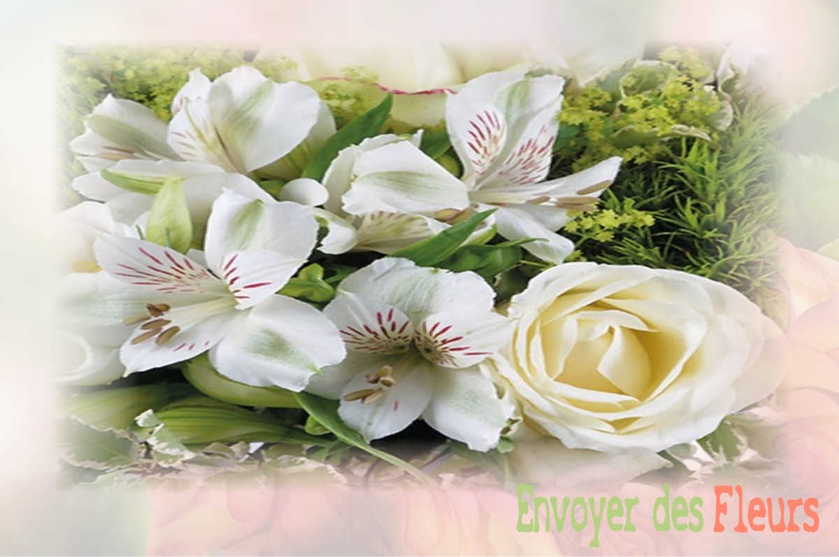 envoyer des fleurs à à VILLENEUVE-LA-COMTESSE
