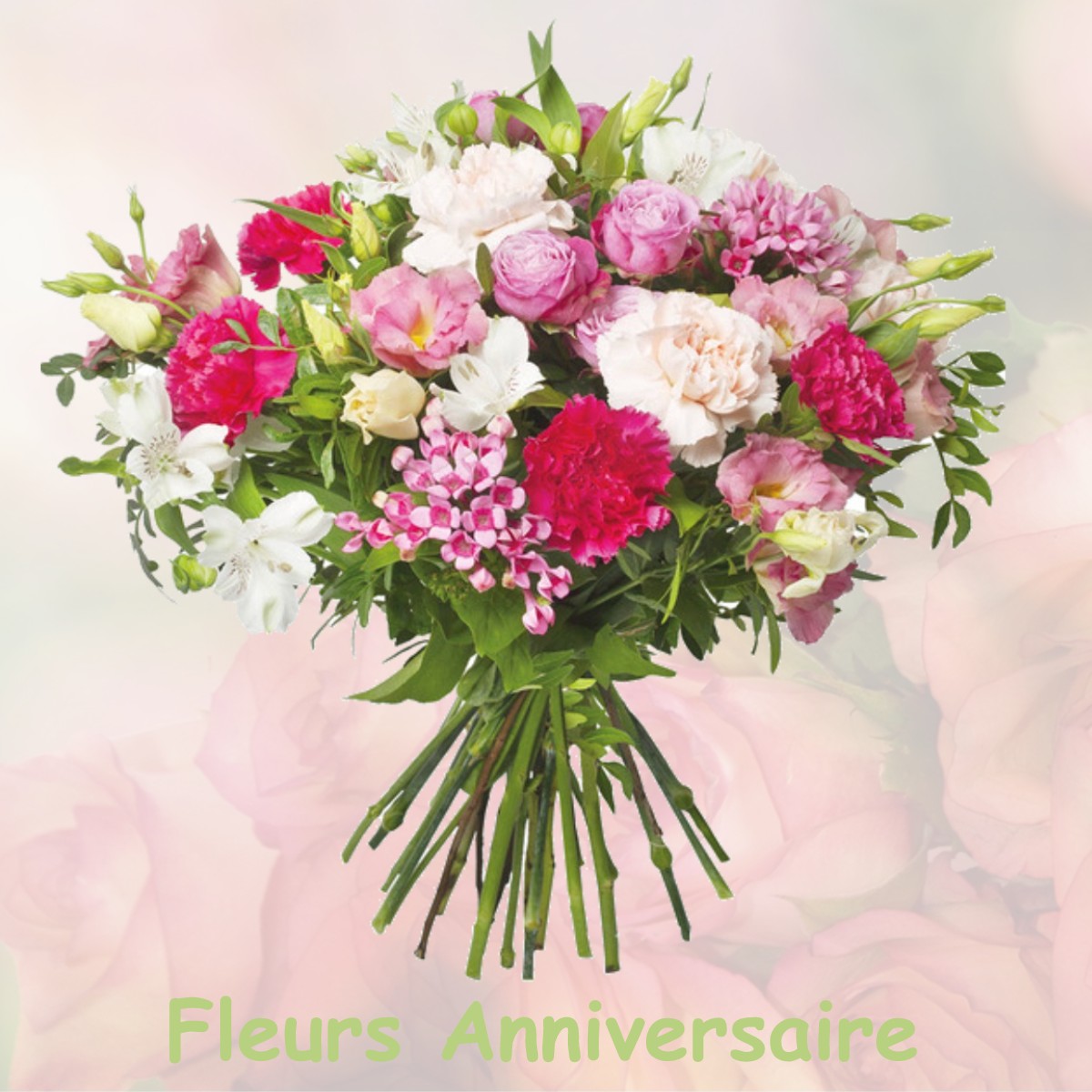 fleurs anniversaire VILLENEUVE-LA-COMTESSE