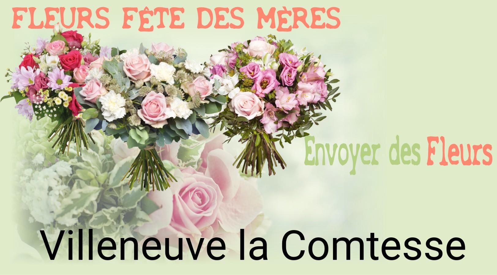 Bouquet de Fête des Mères livré à Villeneuve-la-Comtesse